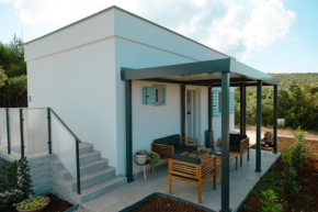 Robinson House Mimo